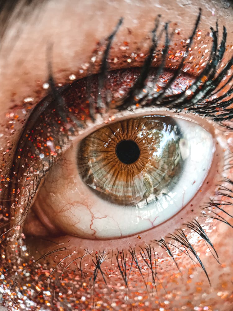 Glitter In Make-Up Of A Hazel Eye