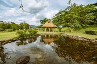 Brown Wooden House Near Green Trees and River