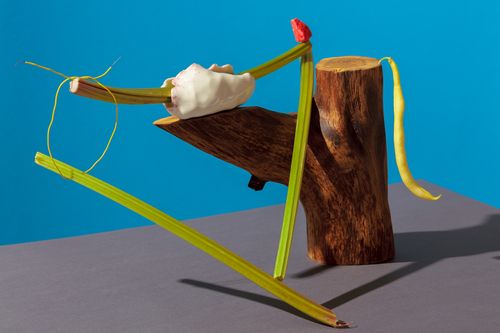 Free Creative still life featuring vegetables and a log against a blue background. Stock Photo