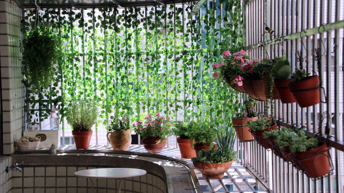 Les meilleures astuces pour créer un jardin vertical intérieur - illustration