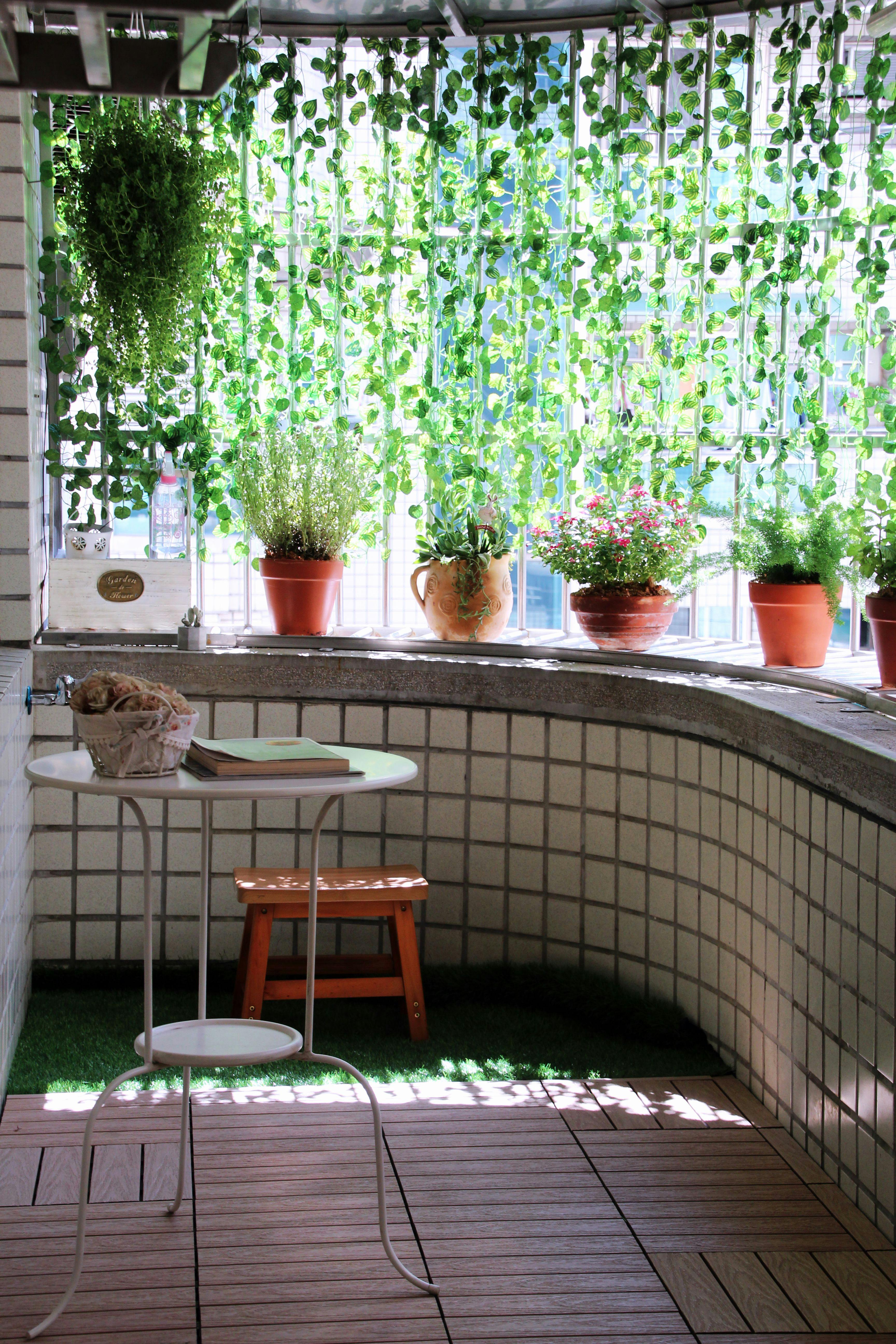 UK herb garden sunny spot