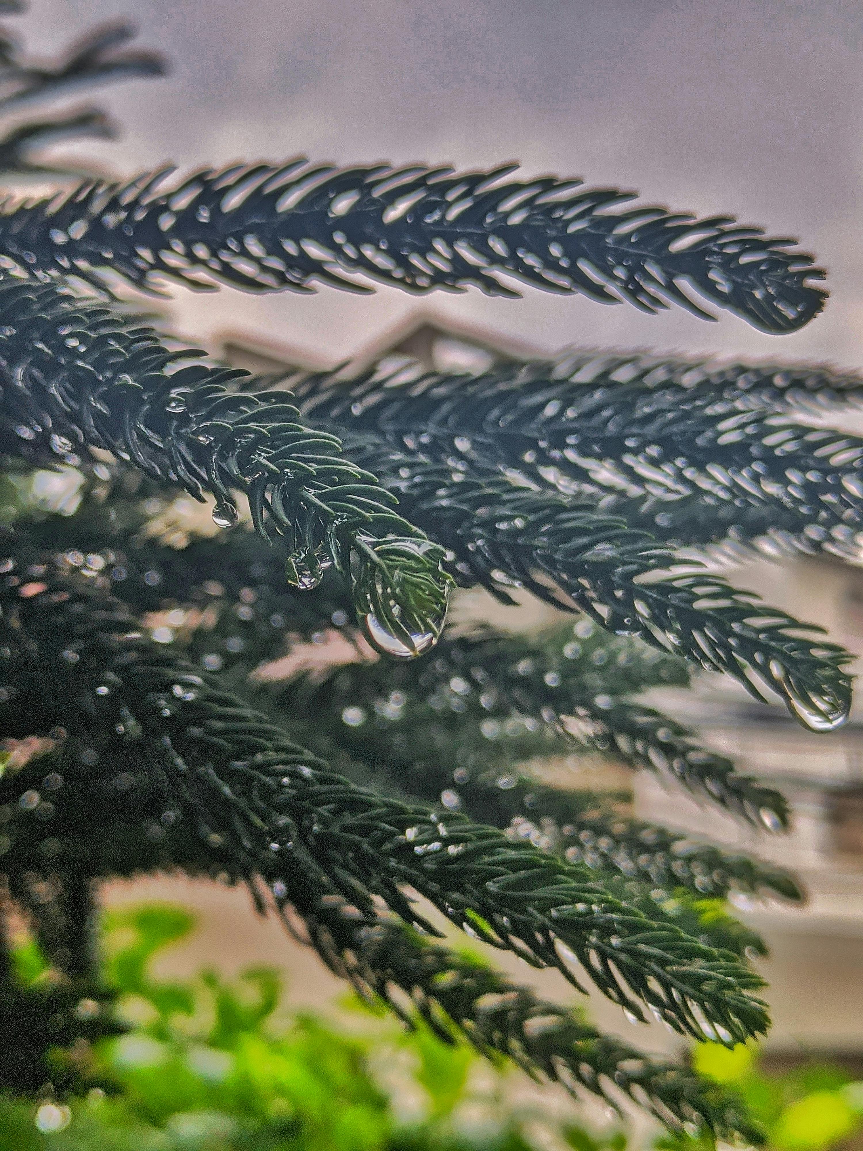 스코페 시내 야경