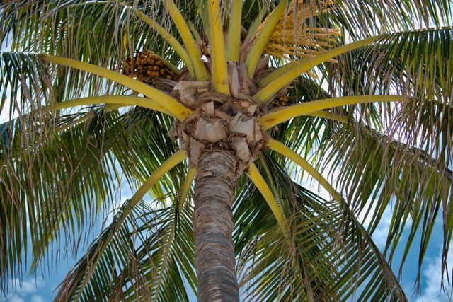 Photo by Robert Woeger on Pexels Photo by Robert Woeger on Pexels