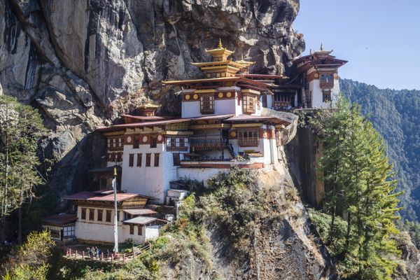 Local Sightseeing Tour in Paro