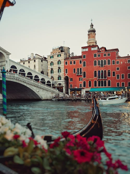 Free Photo of The Rialto Bridge across the Grand Canal with a Dock  Stock Photo