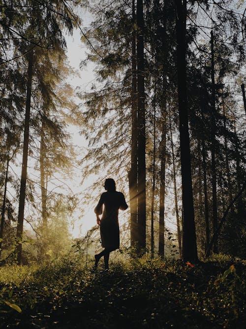 Anonymous woman standing in woods