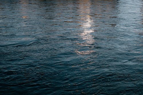 Waves and Ripples on a Body of Water