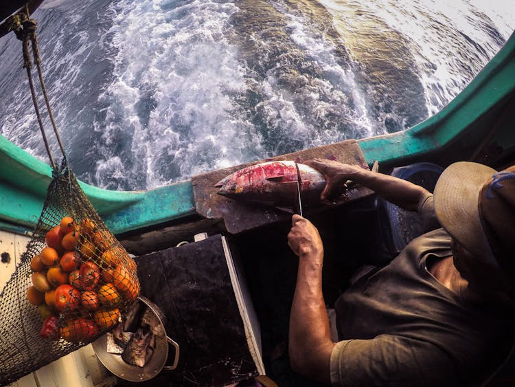 Man Slicing A Raw Fish