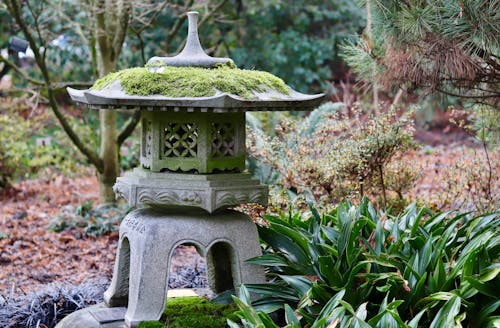 Mossy Concrete Lantern