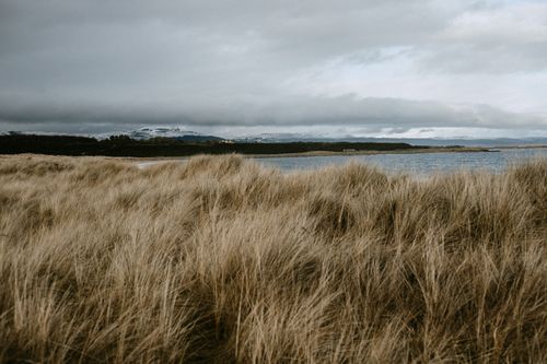 Free Windy Scottish coastal view featuring snow-capped mountains under an overcast sky, with tall grass in the foreground. Stock Photo