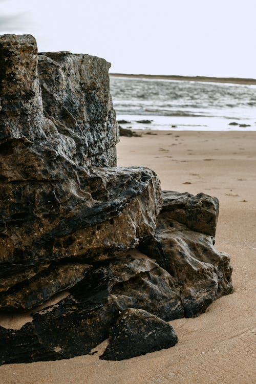 거친, 모래, 바다의 무료 스톡 사진
