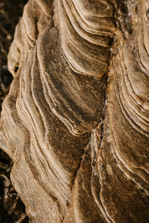 Close up of a Rock