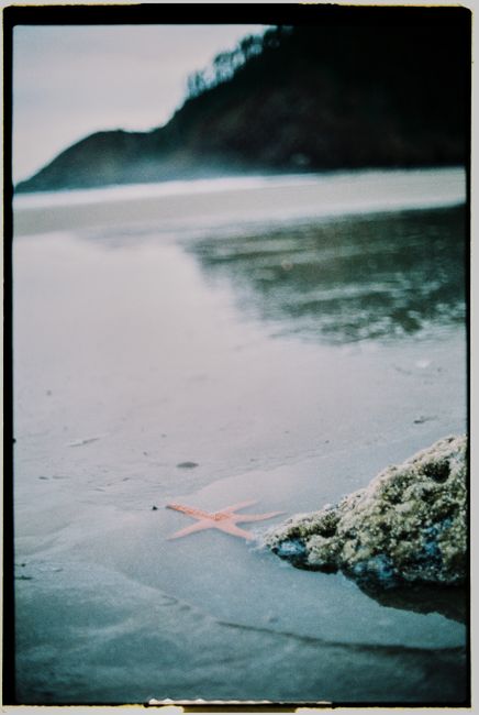 Close-up of a starfish on a serene sandy beach with hills in the background.