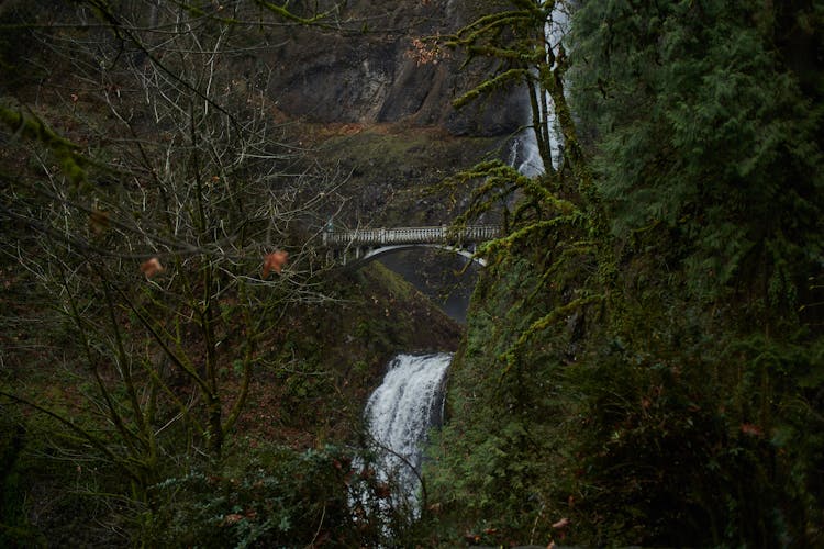 Waterfall Under Bridge In Green Dense Wood