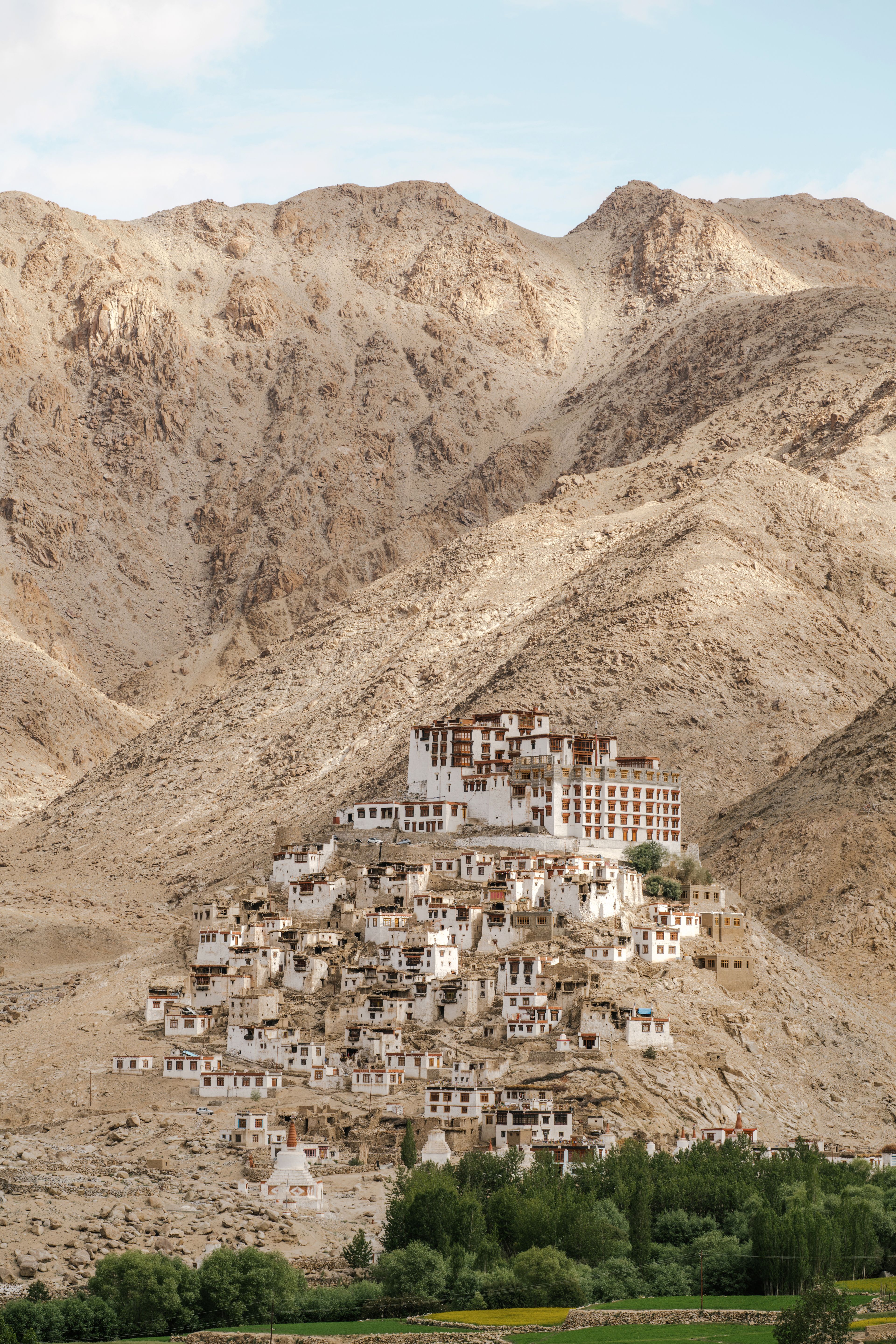 A monastery and white-walled buildings in the barren brown mountains of Ladakh