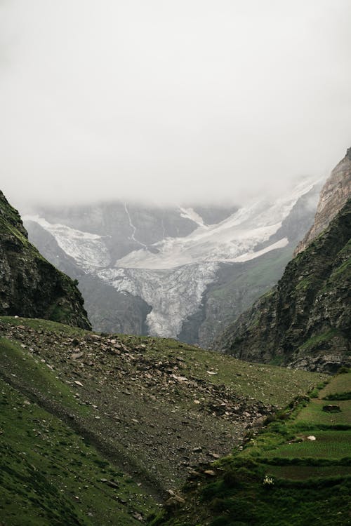 Fotos de stock gratuitas de cielo blanco, con niebla, cubierto de nieve