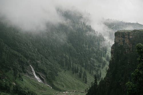 Free Clouds Covering a Forest in the Mountain Stock Photo