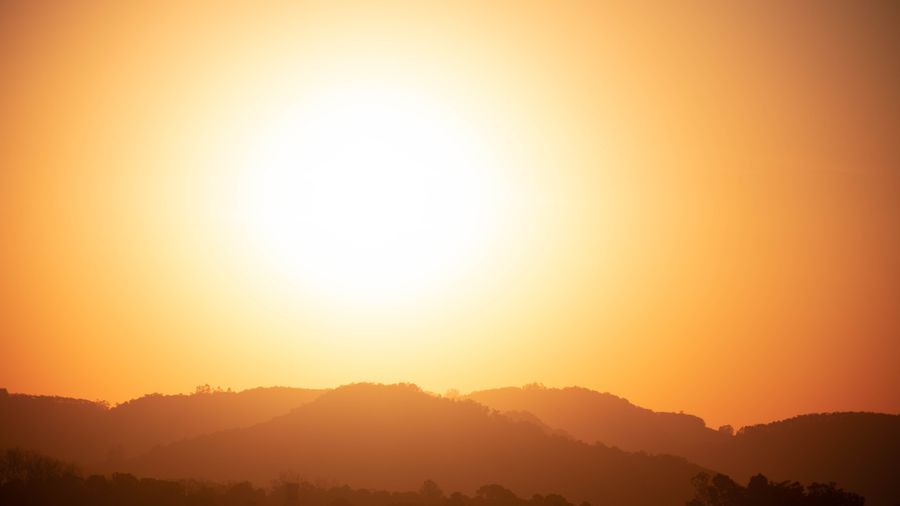 Gold Coast Suns