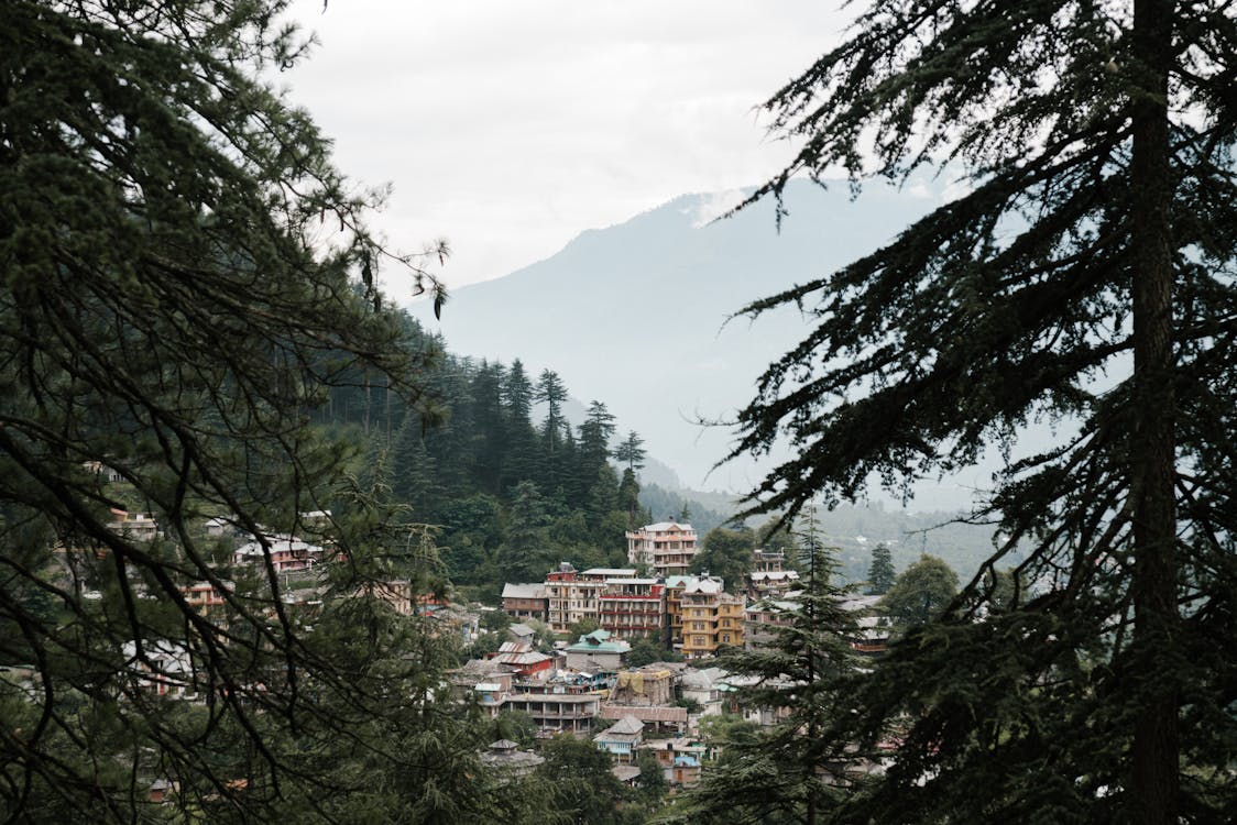 Buildings in the Mountains Among Trees