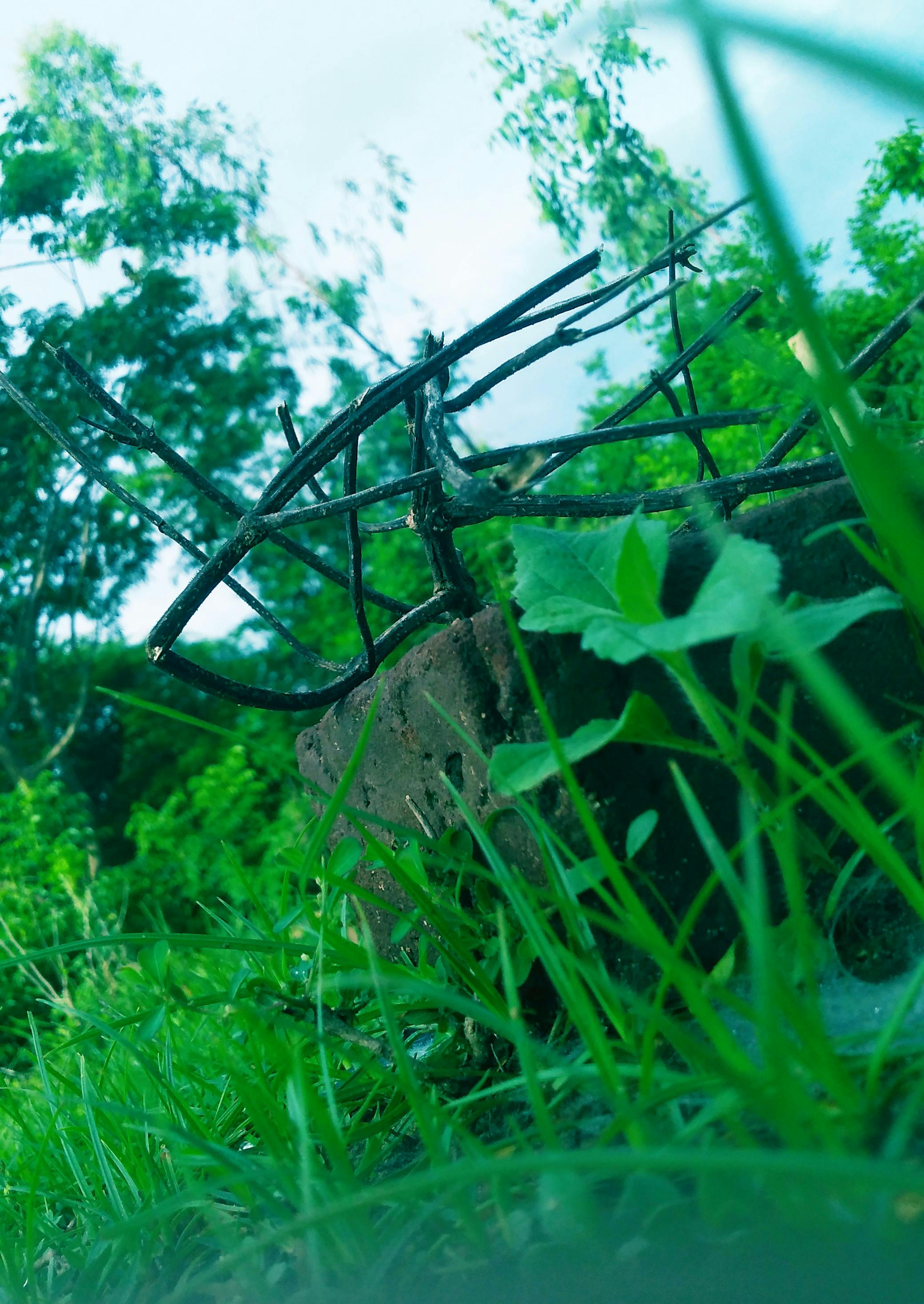 ChIn ChAN Fotografie