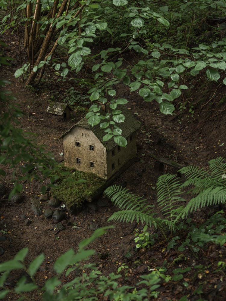 Mossy Miniature Houses