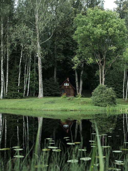 Foto profissional grátis de árvores, campo, casa