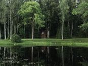 Brown Wooden House Near Green Trees and Lake