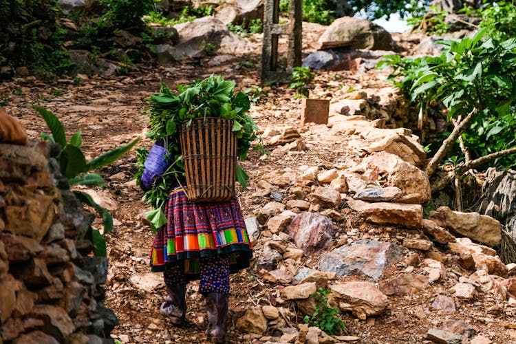 A Person Walking Uphill Carrying A Bamboo Basket 