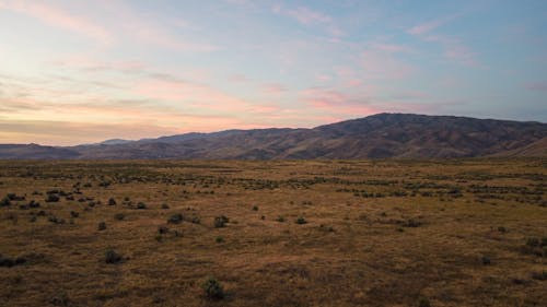 Free Picturesque view of dry grassy field near mountain ridge located under evening sky in summer day Stock Photo