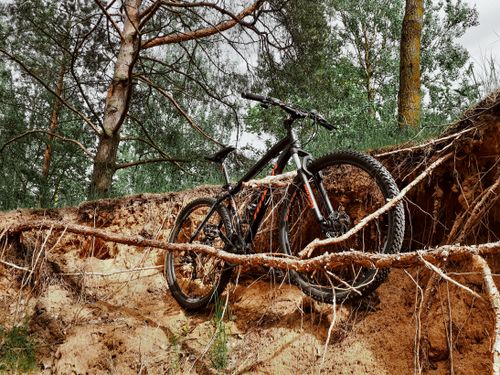 Free A mountain bike parked on eroded ground amidst tree roots in a forest setting. Stock Photo