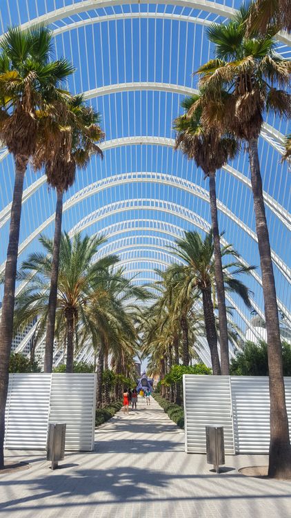 L'Umbracle in Valencia, Spain · Free Stock Photo