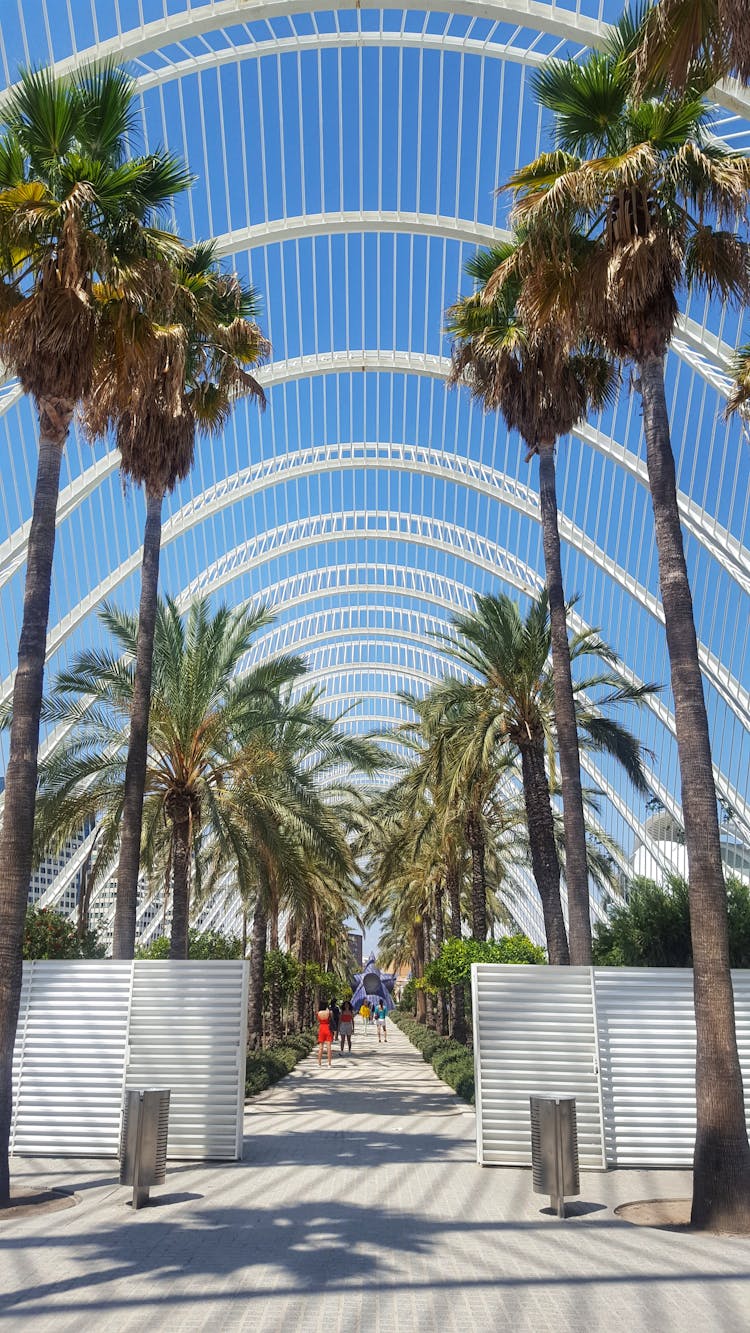 L'Umbracle In Valencia, Spain