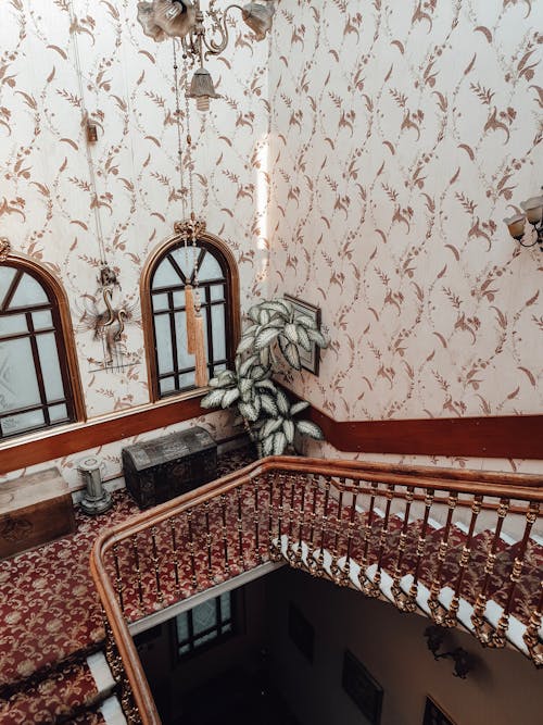 From above of stairway with wooden railings and red carpet and potted plants located in old fashioned building with high ceiling