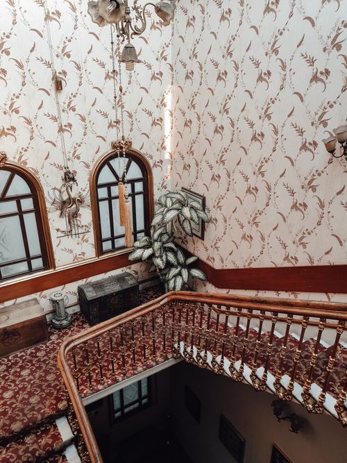 Free From above of stairway with wooden railings and red carpet and potted plants located in old fashioned building with high ceiling Stock Photo