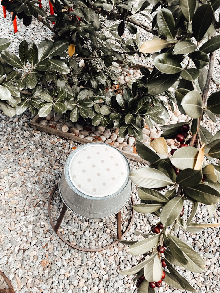 Decorative Metal Stool On Pebble In Garden