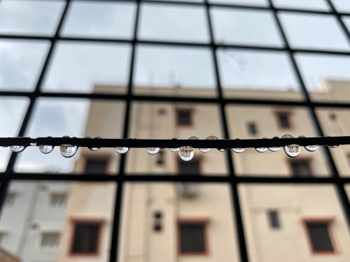 Gratis arkivbilde med dråper, etter regnet, regndråper på en ledning
