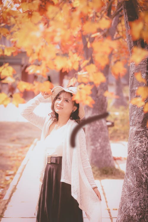 A Beautiful Woman Under a Maple Tree