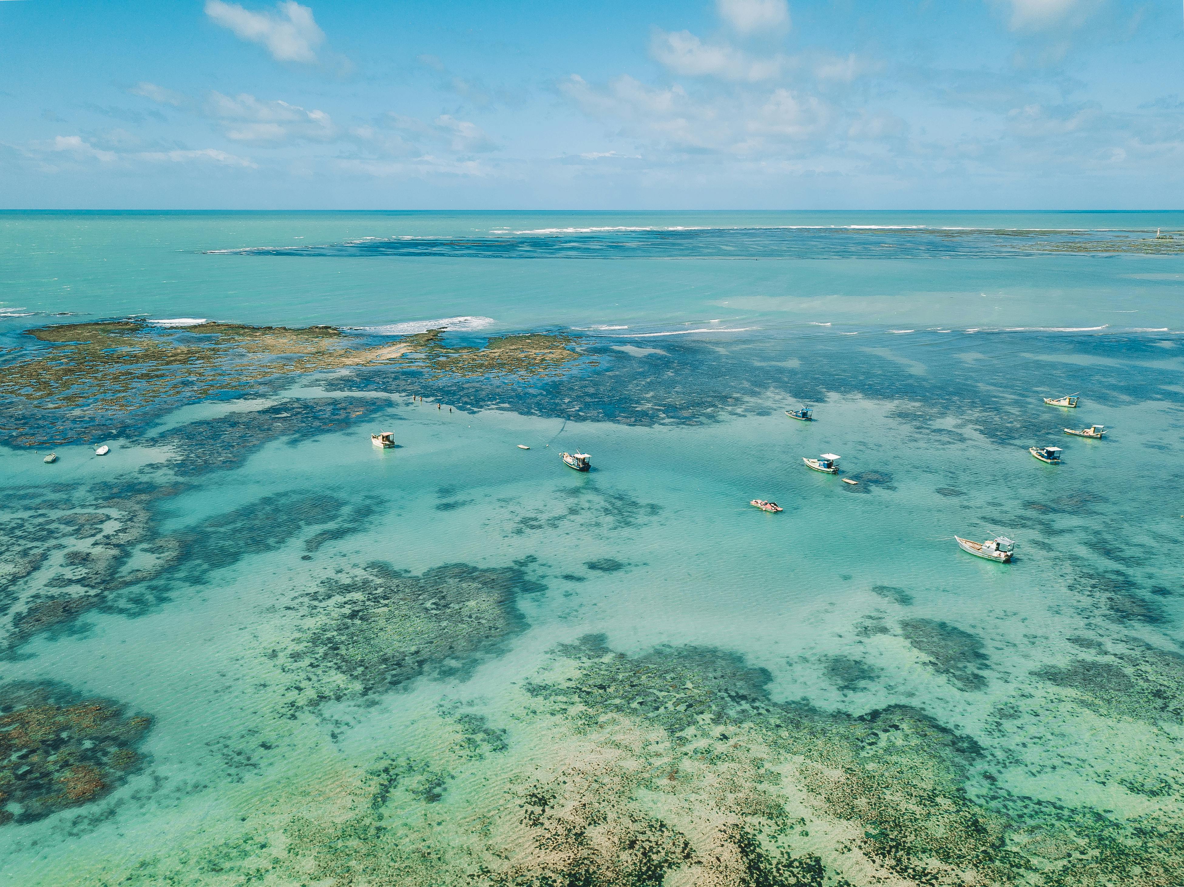 Aerial Vie of the Pipa Beach in Brazil · Free Stock Photo