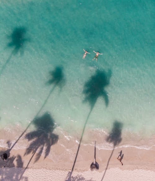 Free Drone Shot of a People on the Beach Stock Photo