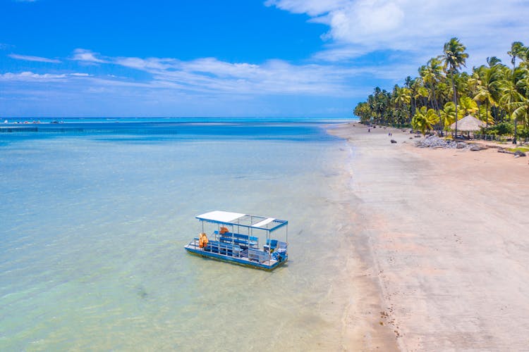 Pontoon Boat Near Shore