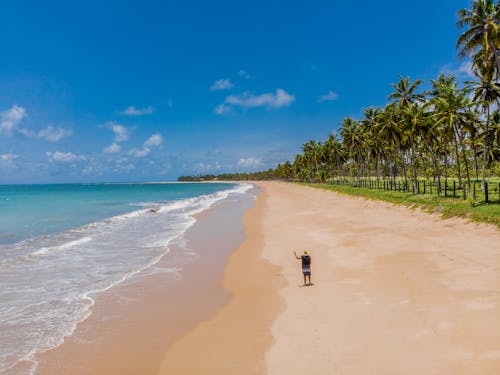 Drone Shot of a Person Standing on Shore