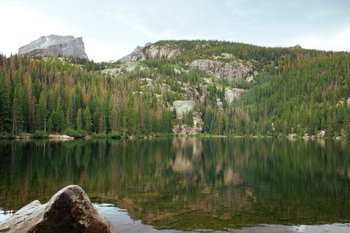 Free Peaceful mountain lake surrounded by lush greenery in Cody, Wyoming. Stock Photo
