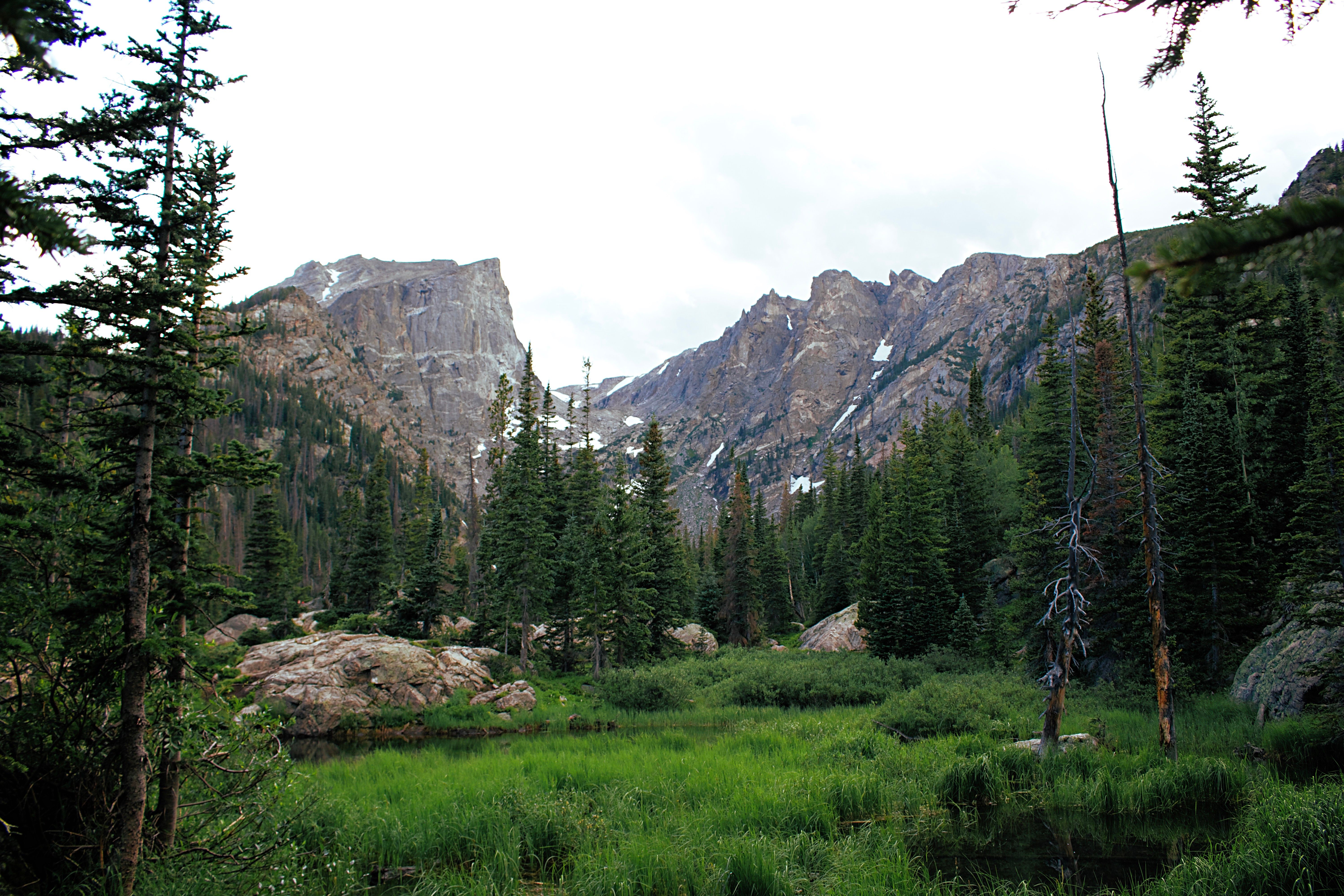 Breathtaking view of green wilderness, rocky peaks, and snow patches in Wyoming.