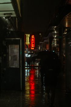 Back view of unrecognizable pedestrians with umbrellas walking along wet rainy street of modern city at night