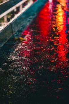 From above of colorful artificial lights reflecting in rippled puddle on street at night in rainy weather