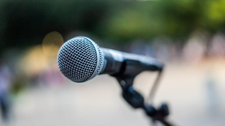 Modern Microphone During Event In Park