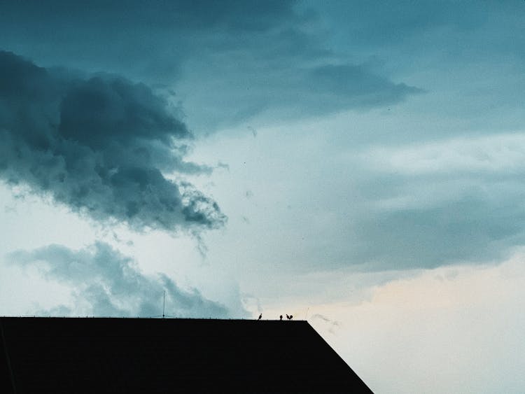 Cloudy Sky Over Dark Roof With Birds