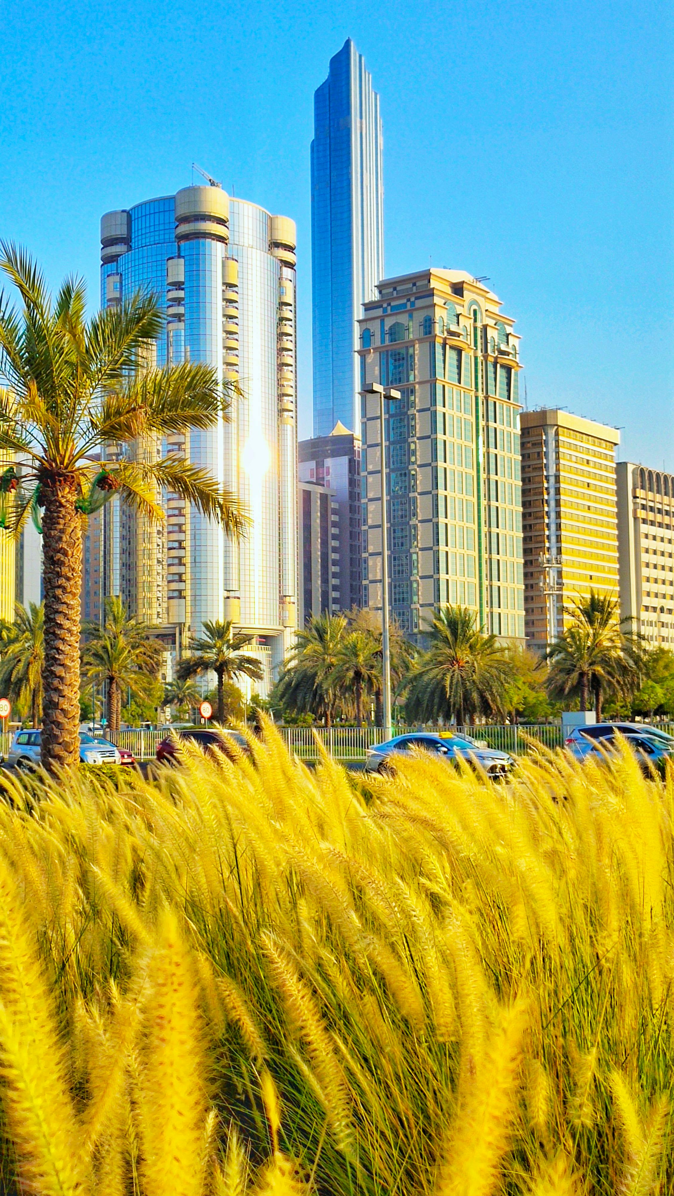 Abu Dhabi Family Special