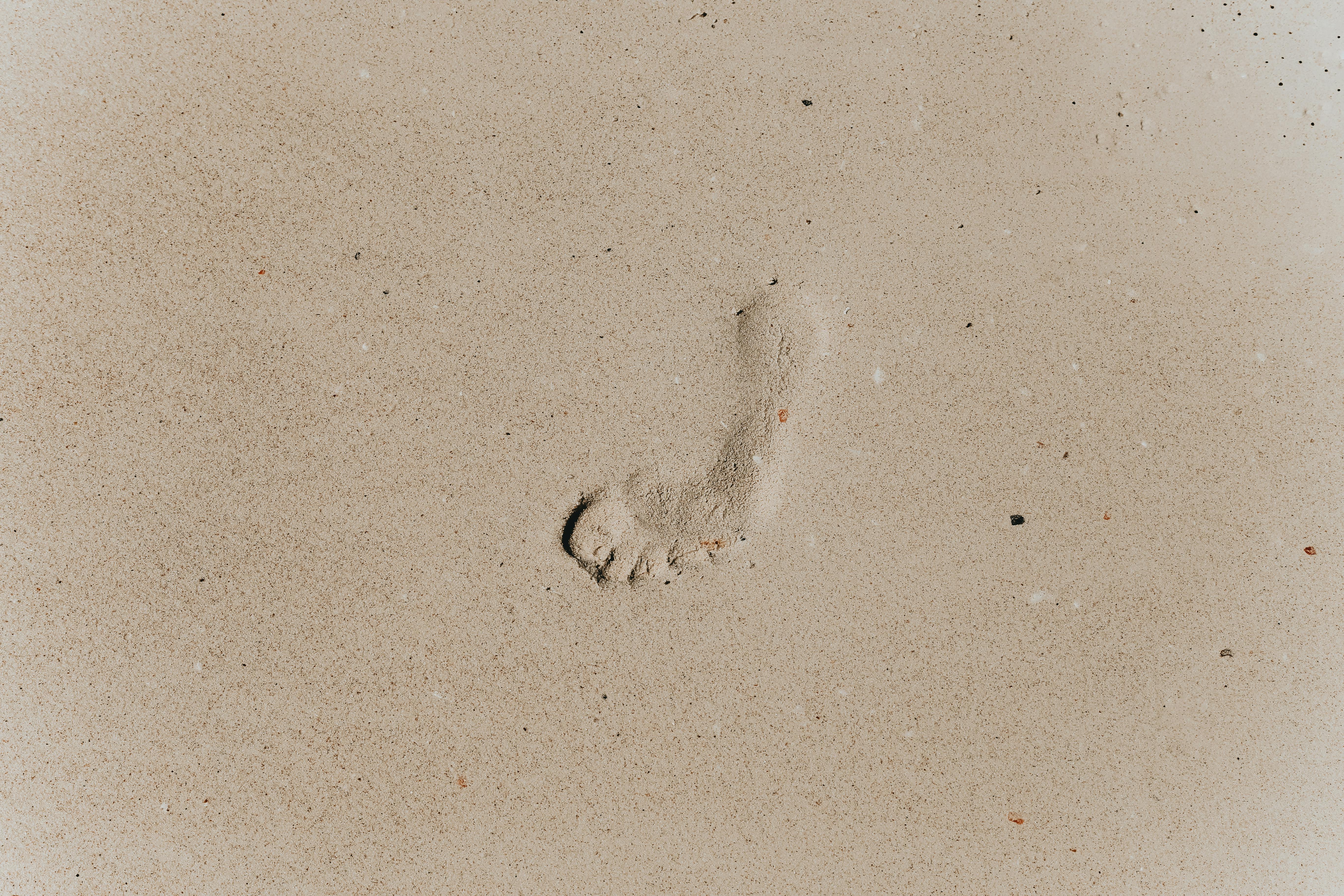 footprint on dry sandy shore in daylight