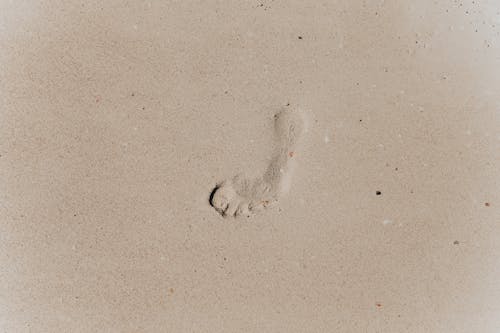 Top view of footprint on brown sandy coast with loose texture in daytime
